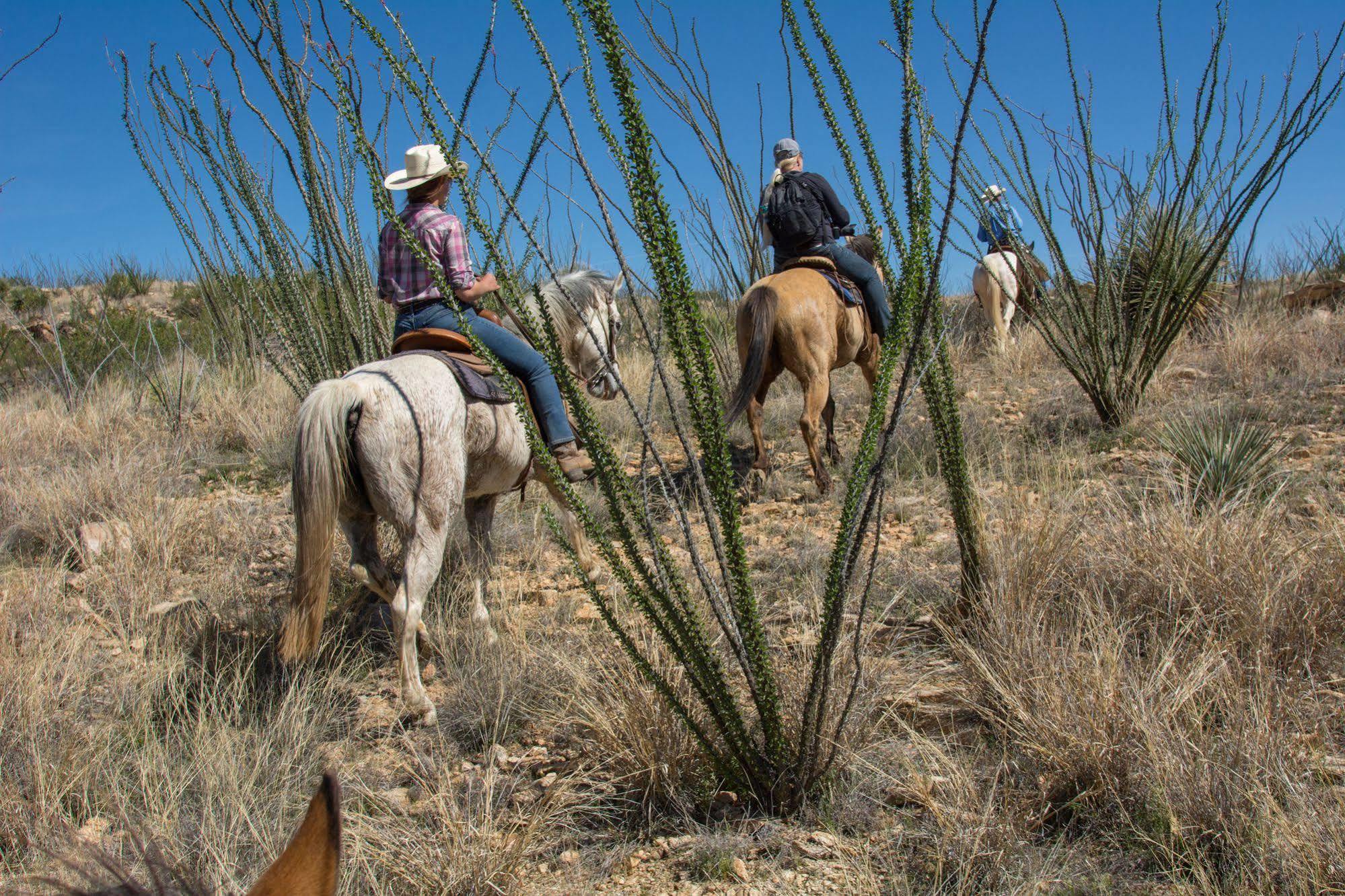 Rancho De La Osa Guest Ranch Hotel Sasabe ภายนอก รูปภาพ